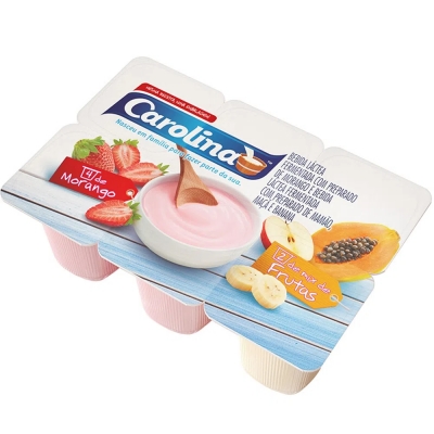 Bebida Láctea Carolina Morango/Salada de Frutas 510g